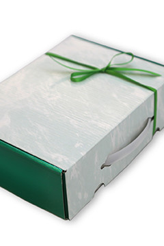 Geschenkkarton <br /> mit Kunststoffgriff