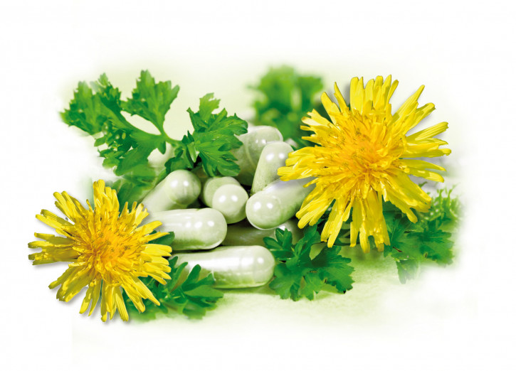 Liver Complex <br /> Cholin & Kräuter <br /> 60 capsules