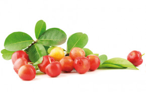 BioAcerola <br /> BIO, 60 Lutschtabletten (60 g)