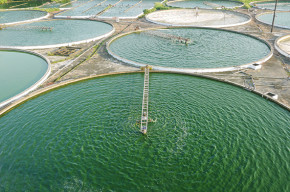 BioSpirulina <br />Naturland<br />400 g Pulver