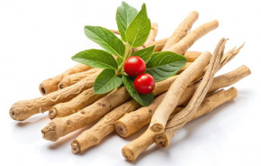 Ashwagandha <br /> BIO, 180 Kapseln (105 g)