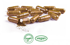 Astaxanthin Plus <br /> 60 Kapseln (30 g)