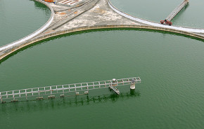 BioChlorella <br />Naturland<br /> 300 g Pulver