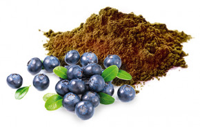 Astaxanthin Plus <br /> 60 Kapseln (30 g)