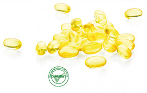 Omega-3 Fettsäuren <br />Fischöl <br /> 120 capsules (85 g)