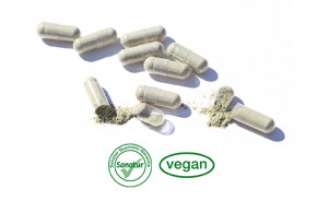 Magnesium <br /> 100 Kapseln (55 g)