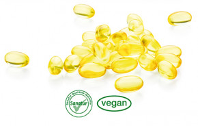 Omega-3 pflanzlich <br /> 120 Kapseln (80 g)