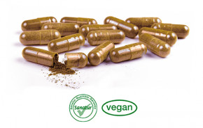 Rhodiola rosea Plus <br /> 60 capsules (35 g)