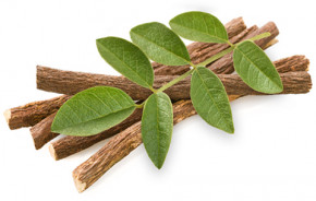 Süßholzwurzel <br /> 60 Kapseln (28 g)