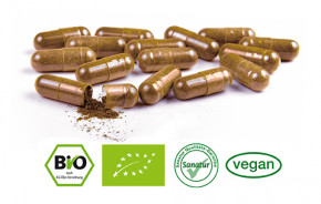 Traubenkern OPC & Vitamin C <br /> ORGANIC, 200 capsules (118 g)