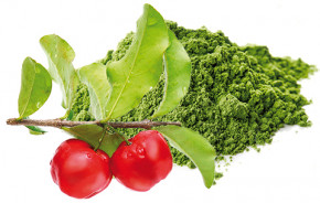 ZinkSpirulina & Acerola <br /> 90 capsules (47 g)